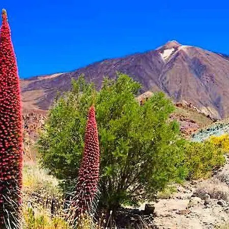 Daire White House - Piro