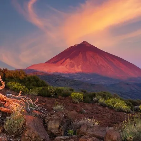 White House - Piro * San Miguel de Abona